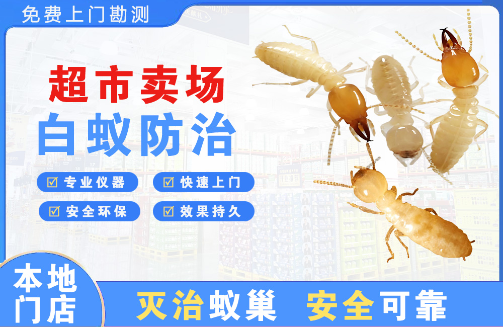 天宁超市卖场白蚁防治