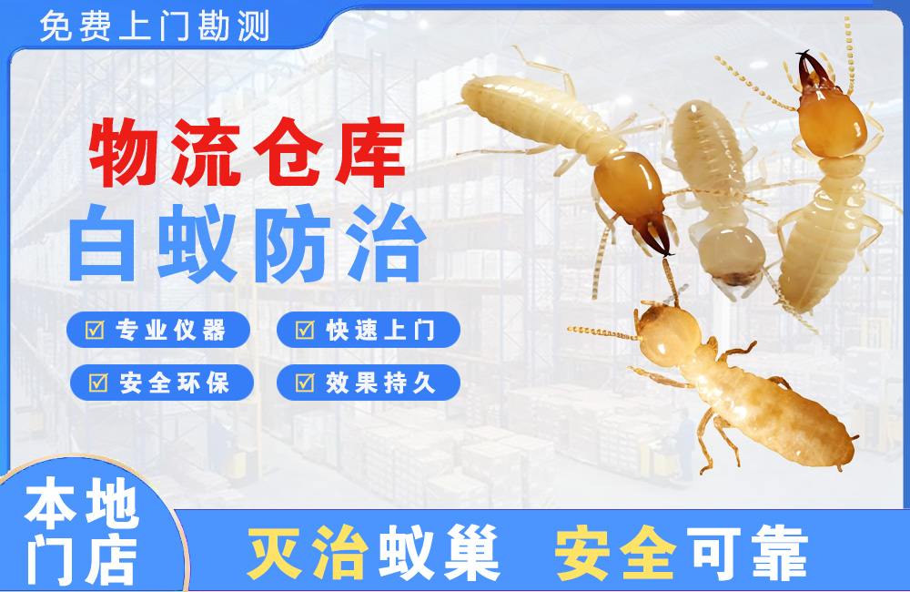 天宁物流仓库白蚁防治