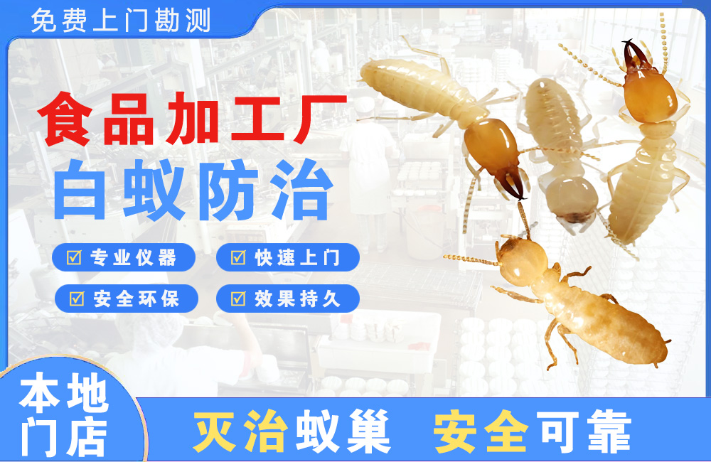 天宁食品加工厂白蚁防治