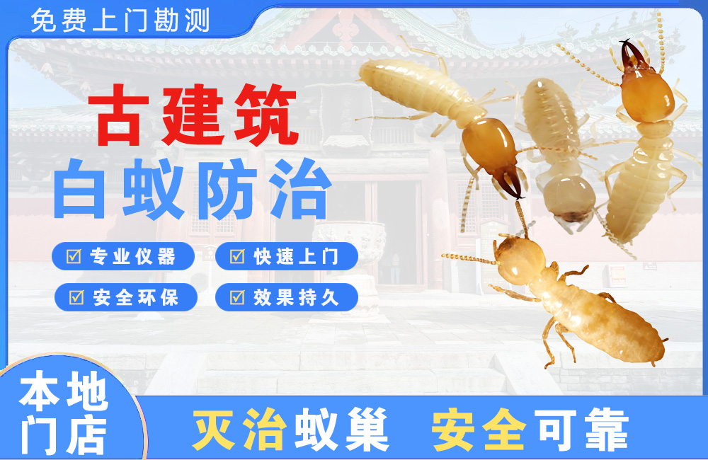 天宁古建筑白蚁防治