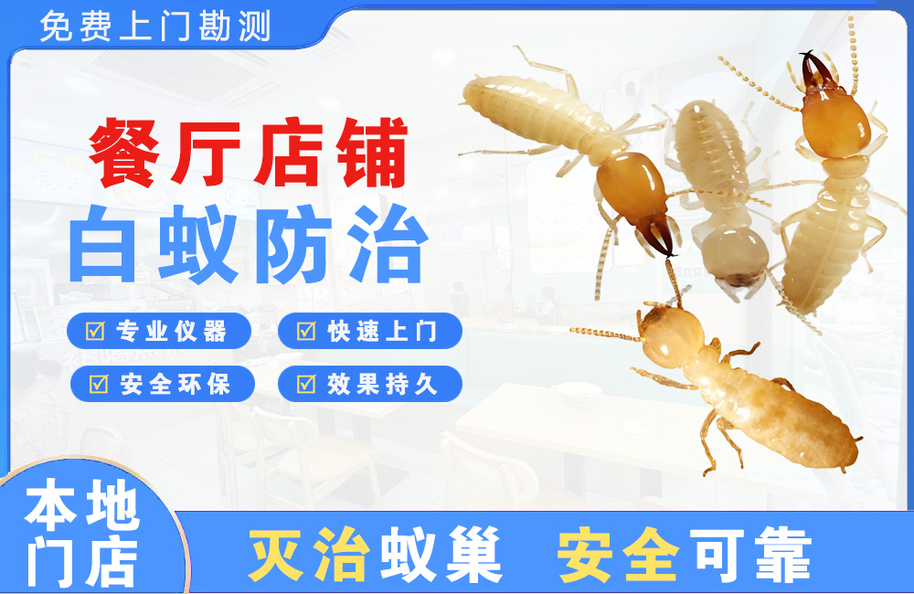 天宁餐厅店铺白蚁防治